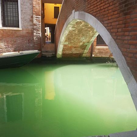 The Secret Garden In The Very Heart Of Venice Luaran gambar