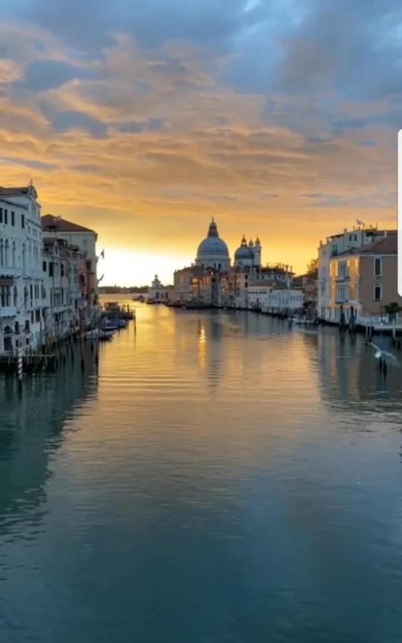 The Secret Garden In The Very Heart Of Venice Luaran gambar