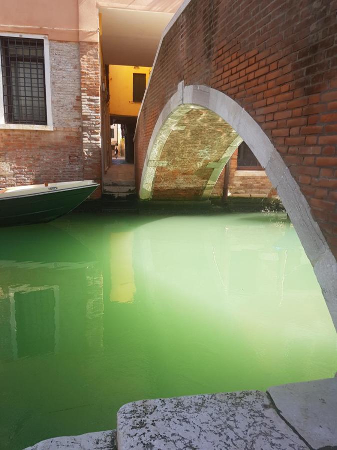 The Secret Garden In The Very Heart Of Venice Luaran gambar